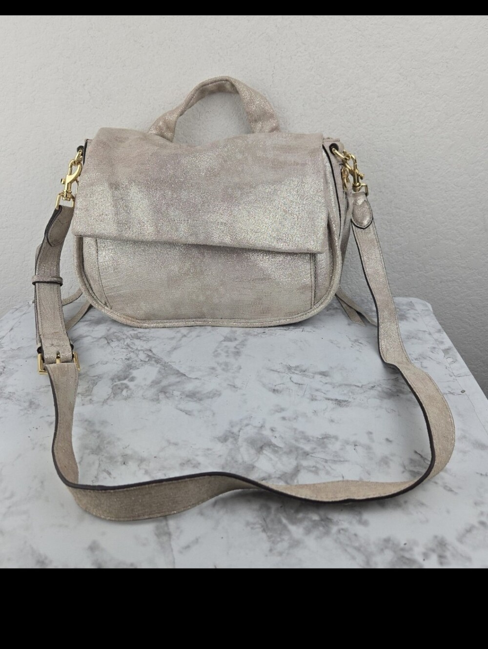 Aimee Kestenberg Metallic Bag View 2